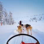 RETTER EVENTS_Lappland_Schlittenhunde
