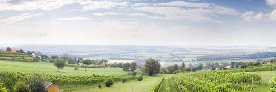 Landschaft Burgenland